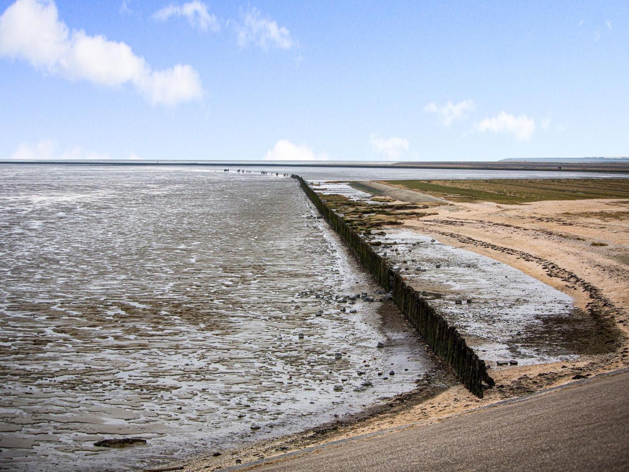 Fantastic Luxury Vacation Home And Next To The Wadden Sea Paesens Extérieur photo